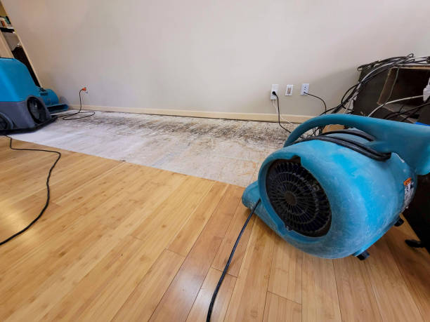 Professional Water Extraction technician working in Trona, CA